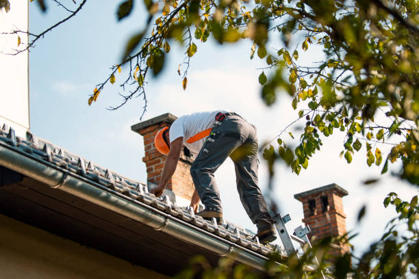 Best Storm Damage Roof Repair  in Mitchell, NE