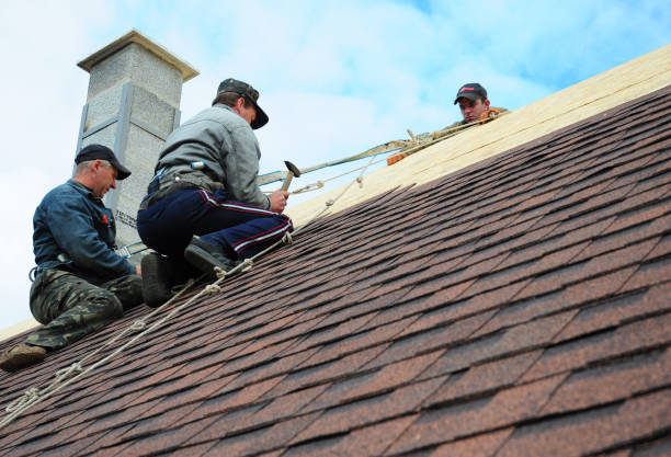 Best Shingle Roofing Installation  in Mitchell, NE
